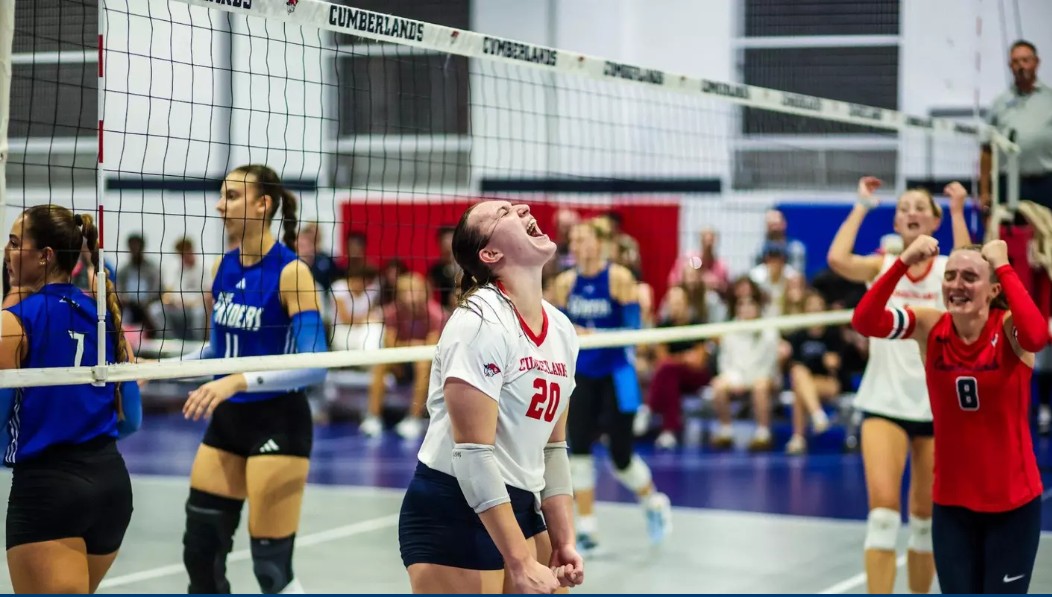 All The Patriots Do Is Dominate