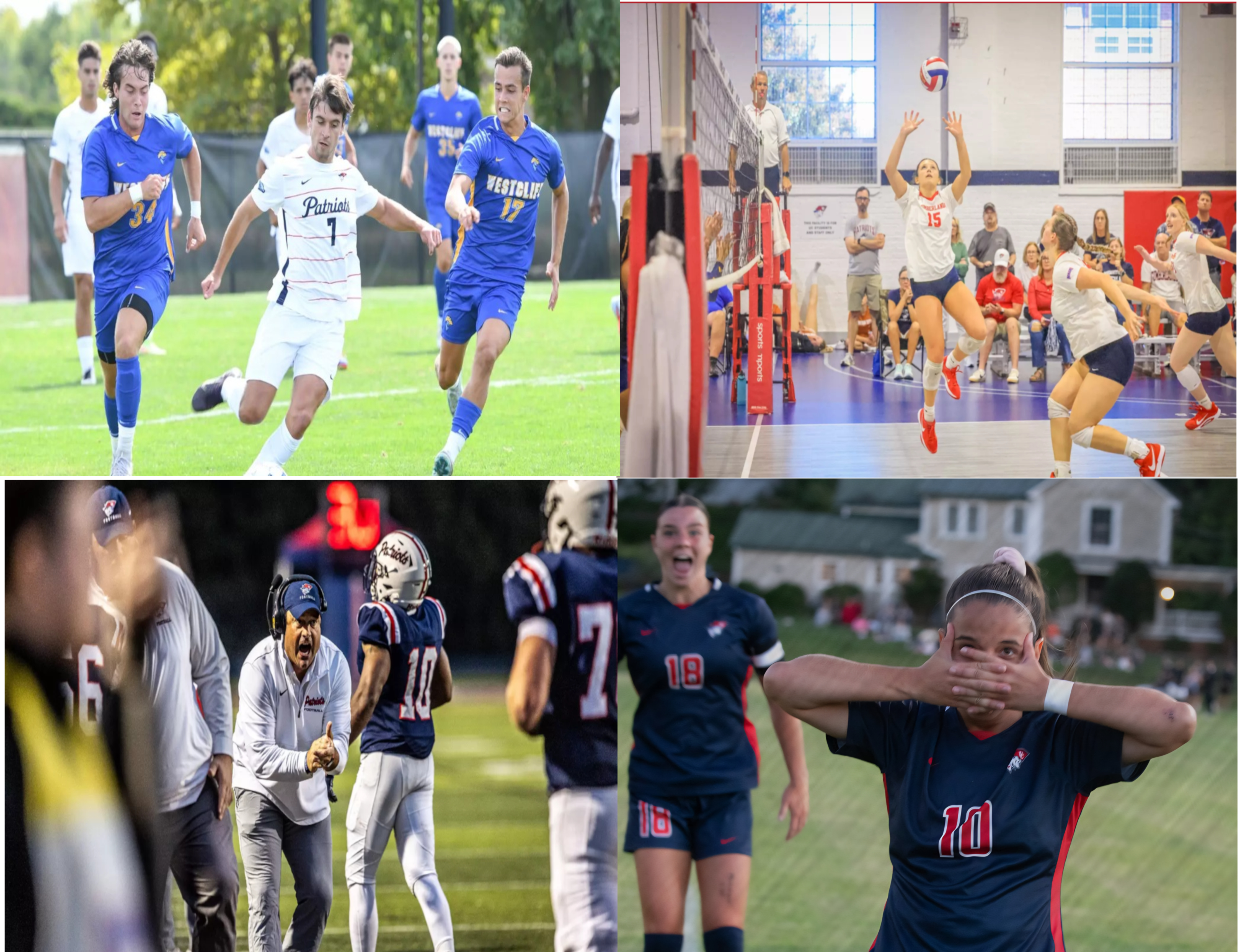 Fall Sports Recap